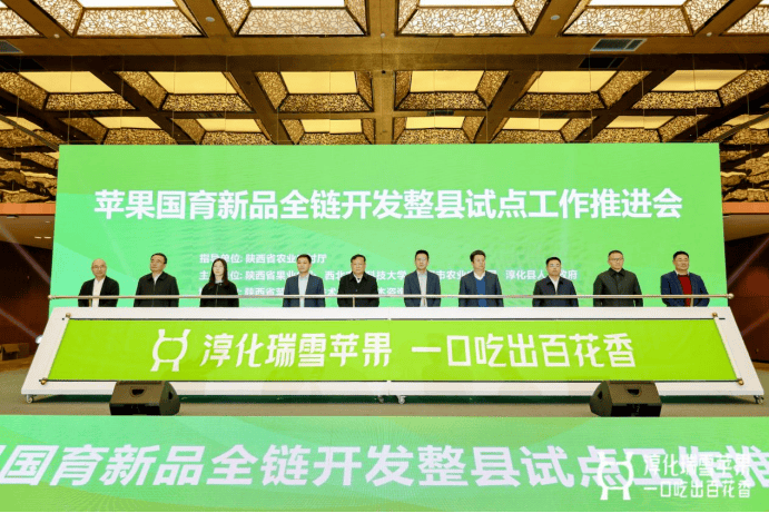 全国果业品牌建设10周年经典案例——淳化瑞雪苹果：“专注”成